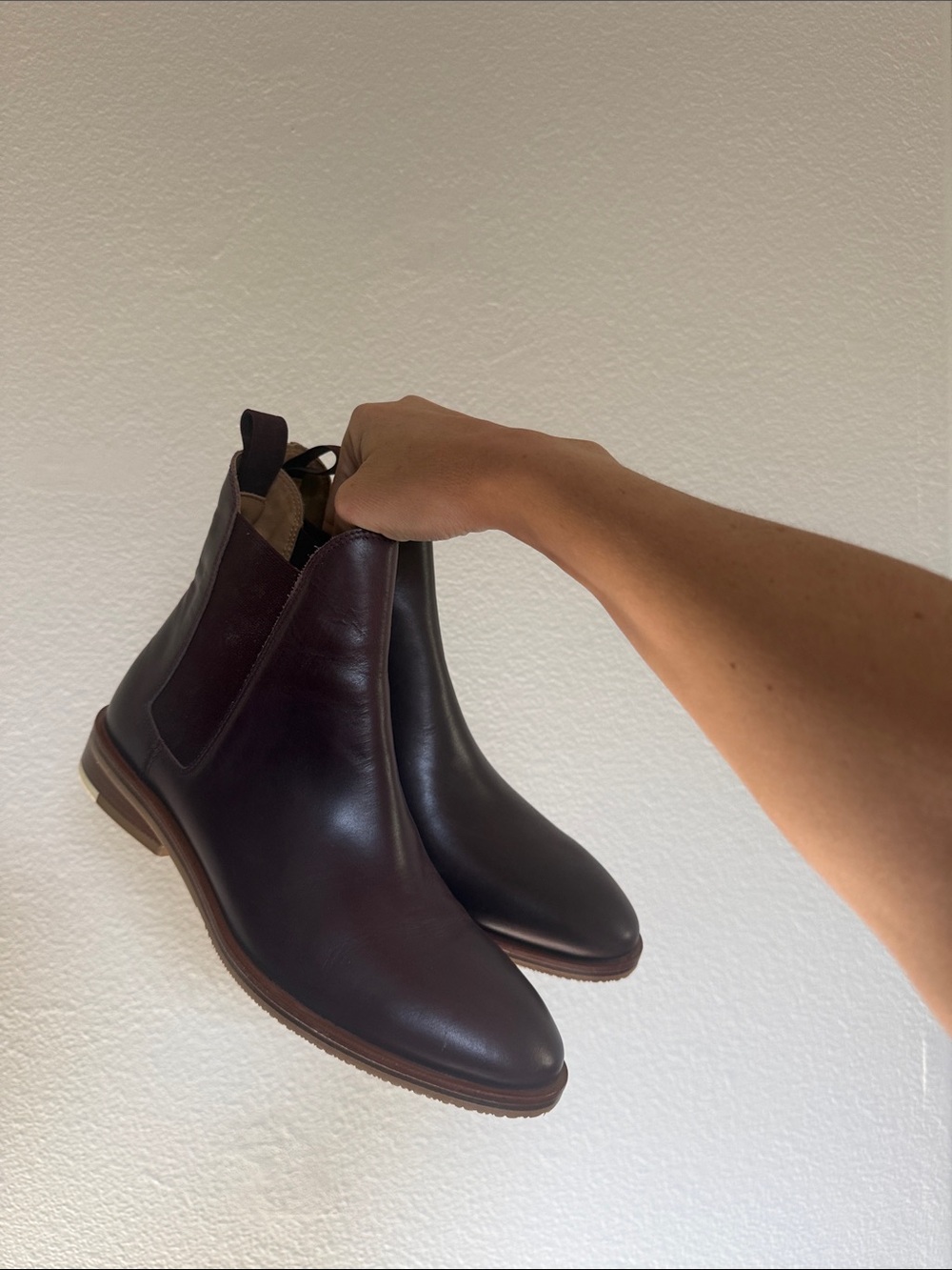Brand new everlane Chelsea boots